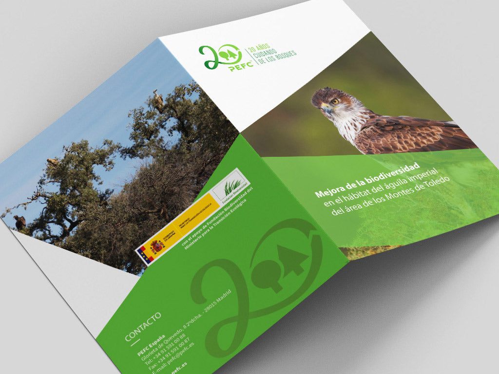 Volantes, dípticos y trípticos